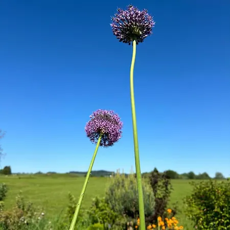 Blaue Haus - Ein Sommertraum Und Ein Wintermaerchen *